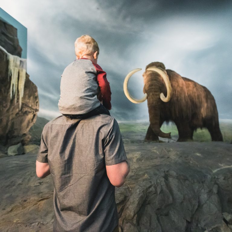 1 Mammoth3 768x768