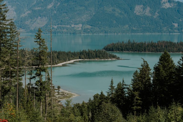 1. Primary Image 768x512