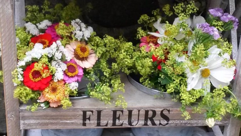 19756629_1579304702088203_7596243629871756232_n 19756629_1579304702088203_7596243629871756232_n