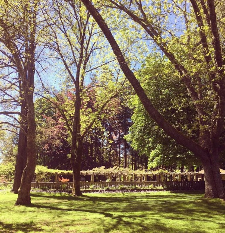 34483249_1917137428304927_5009308082031820800_n 34483249_1917137428304927_5009308082031820800_n