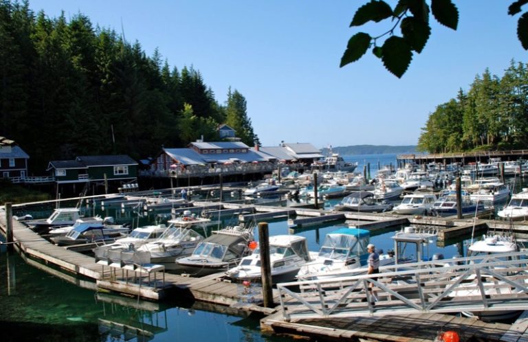 10333755_852162188146611_9106626143403554262_o 10333755_852162188146611_9106626143403554262_o