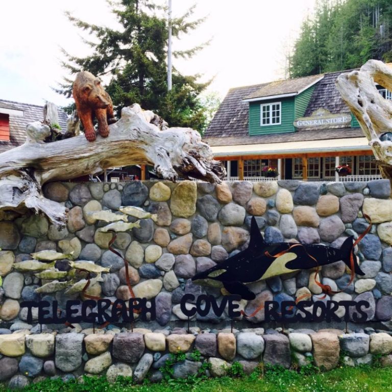 13265922_1290265644336261_6211132966073133970_n 13265922_1290265644336261_6211132966073133970_n