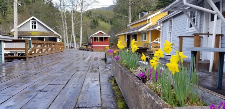 57088140_2634911016538377_4059942339055976448_o 57088140_2634911016538377_4059942339055976448_o