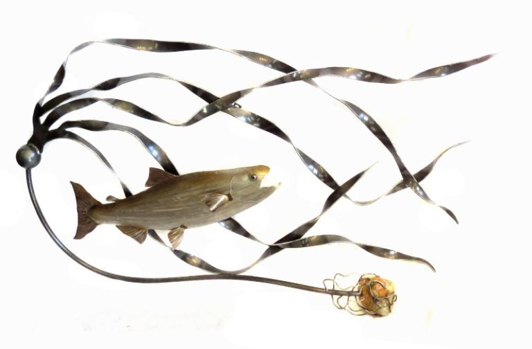 SalmonKelp_KevinMackenzie_895_SalishSeaMarket2 SalmonKelp_KevinMackenzie_895_SalishSeaMarket2