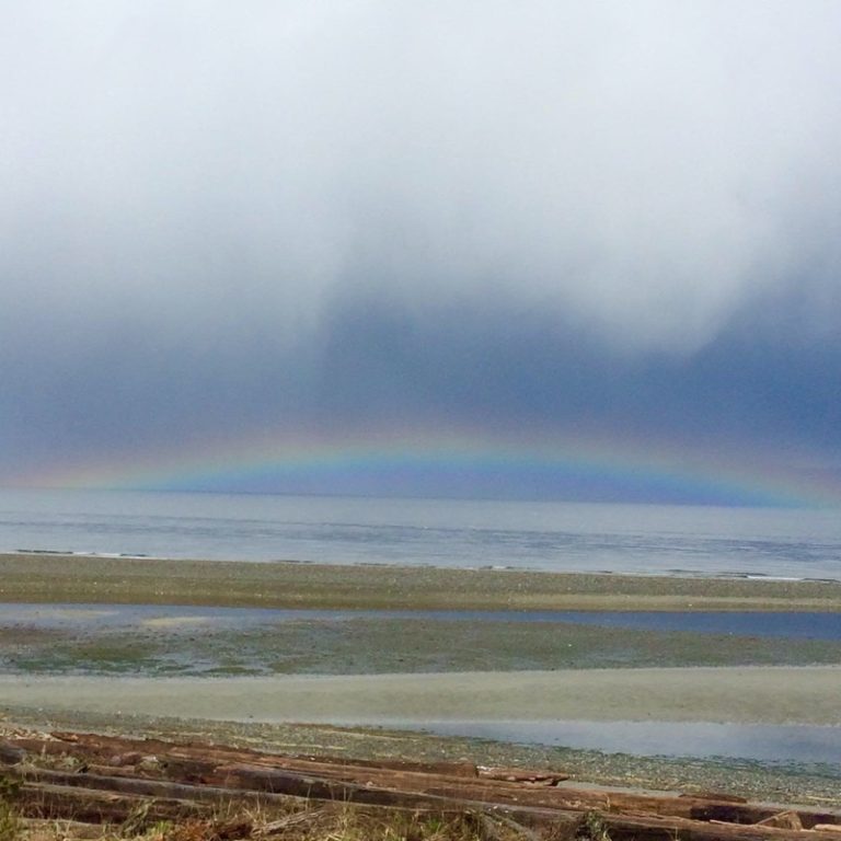 image002-1 image002-1