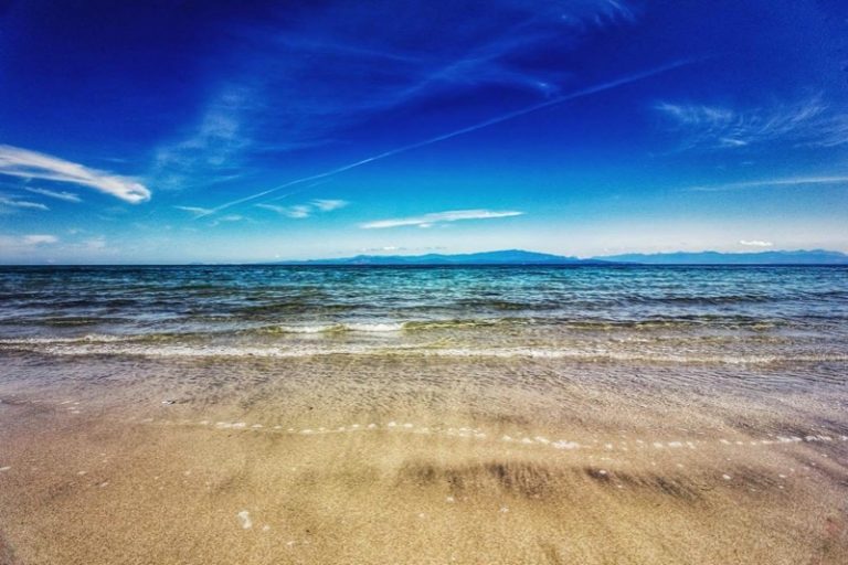 image004-1 image004-1