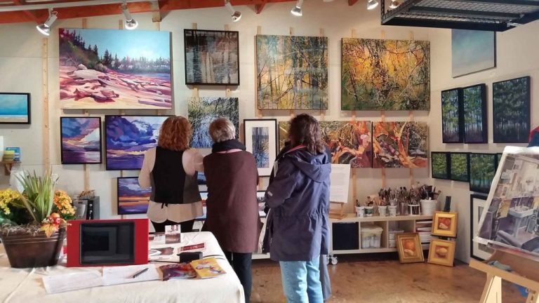 purple banner banner 1024x576 1 768x432