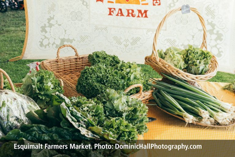 EFM vegetables caption 2021 768x512