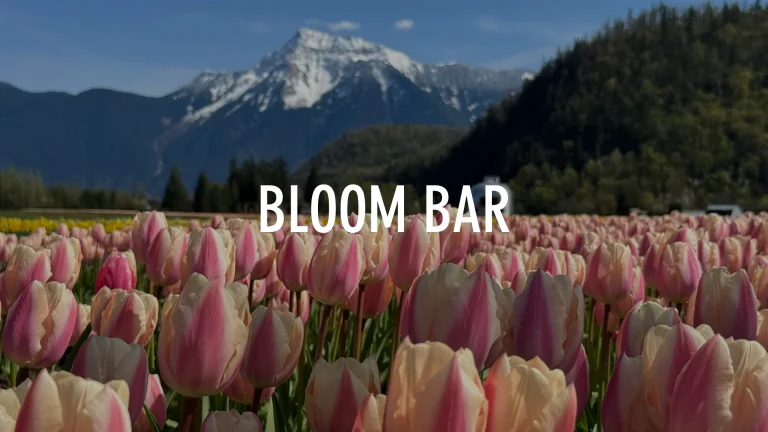 2023 FIELD UPDATES 1920 x 1080 px 768x432