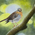 2024 Exhibitions Media Images Positively Petite Homa Rezaei European Robin 4.5 x 6.5 WEB 150x150 1