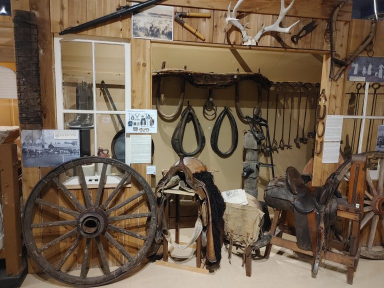 20240525 124018 HDR min 768x576