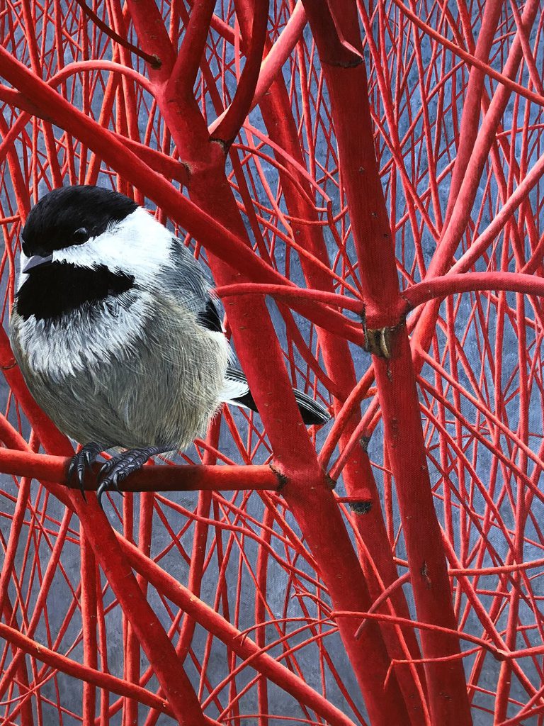 2025 2026 Exhibitions Media Images Tara Connolly Red branch Break for a Black capped Chickadee WEB 768x1024