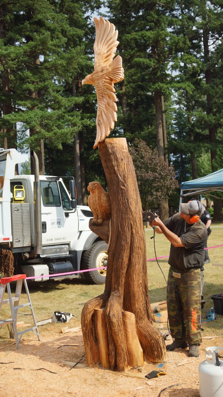 Hope Chainsaw Carving Competition ArtBC