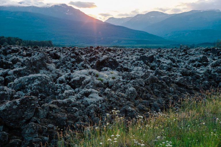 272031749 114075104490473 1668291706730805574 n 768x512