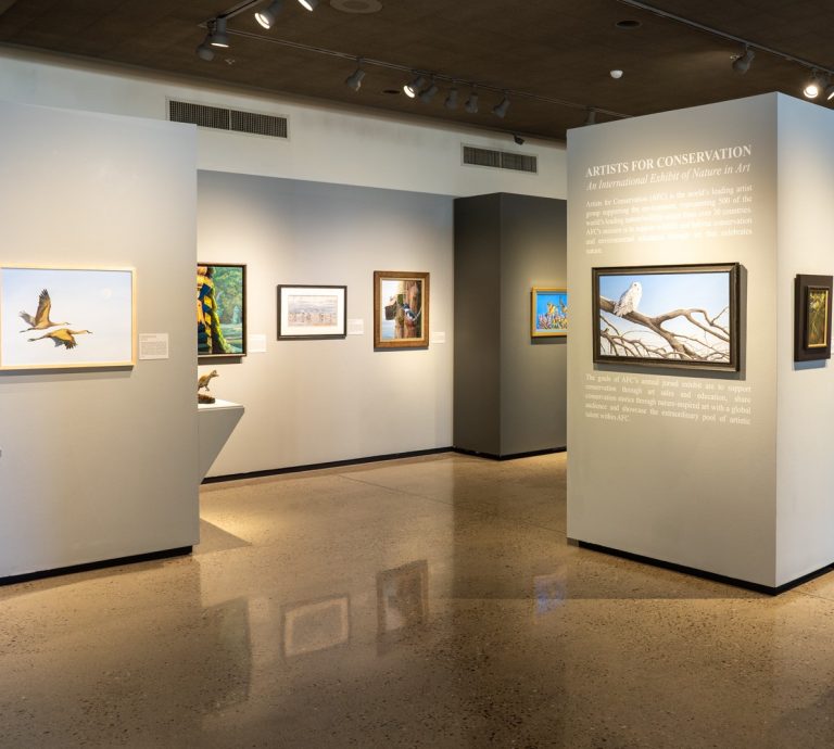 272781870 2437947776335847 7090213280074547988 n 768x690