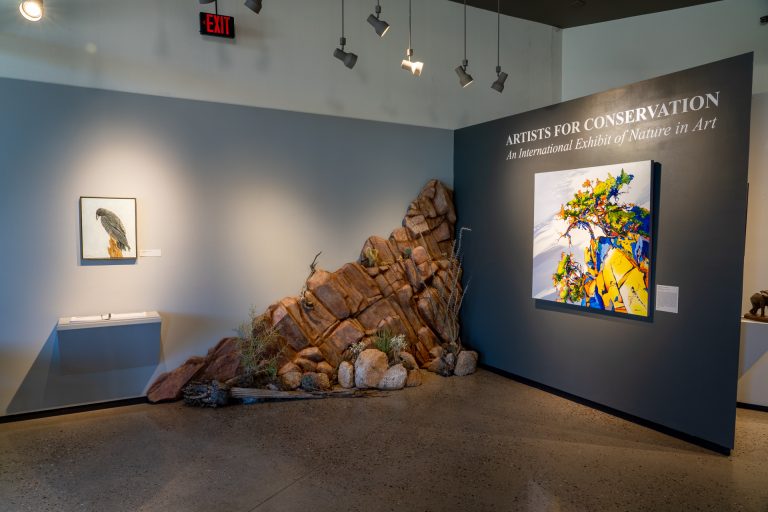 272980686 2437947823002509 1760616500000517463 n 768x512