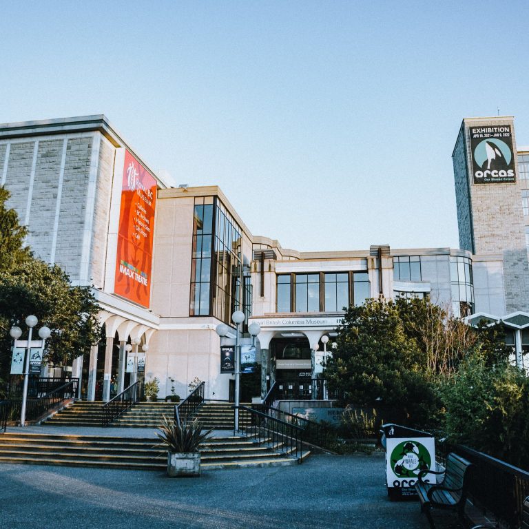 280900372 10151680556589944 4081553672793996927 n 768x768