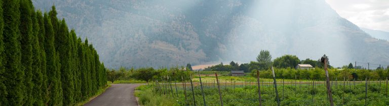 301571765 556112802969911 5895157471646465519 n 768x210