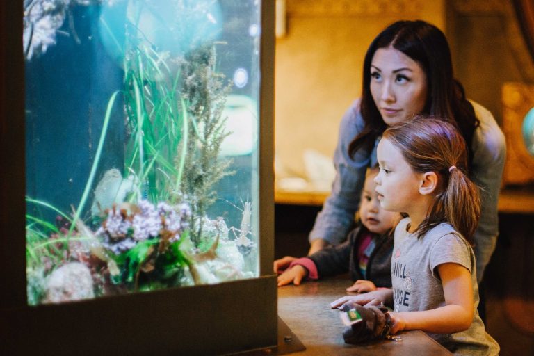 344562995 1924273644605074 7667701703899892339 n 768x512