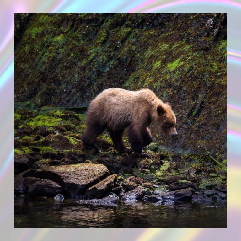 366734978 304983522089915 2298434999622585318 n 768x768