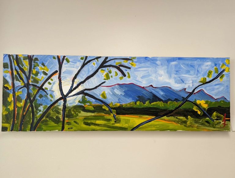 375587988 632964282293784 8506627216362367925 n 768x582