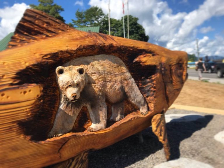 45219350 2102747669793963 5923085120402620416 n 768x576