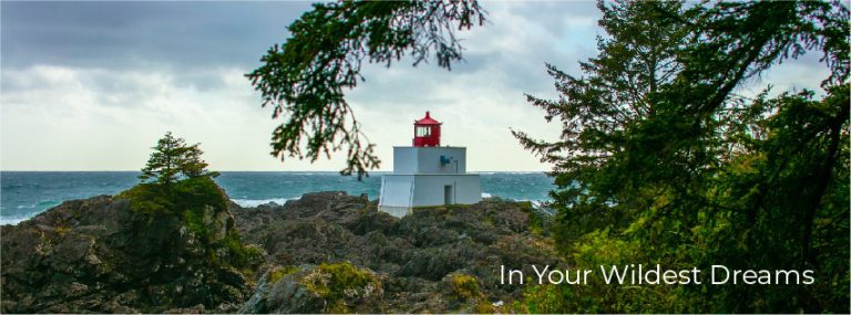 481515885 1064696532353467 3337987115939660246 n 768x285