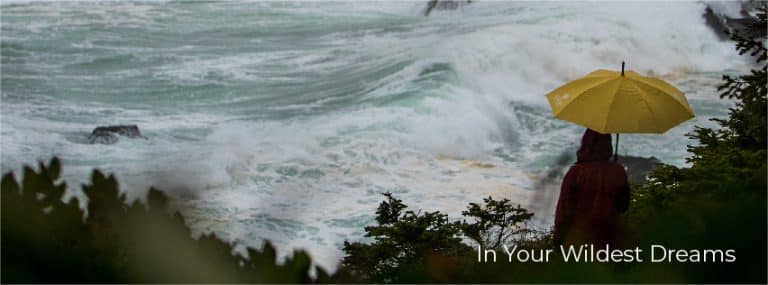 487492028 9403725696329057 2143072652108699688 n 768x285