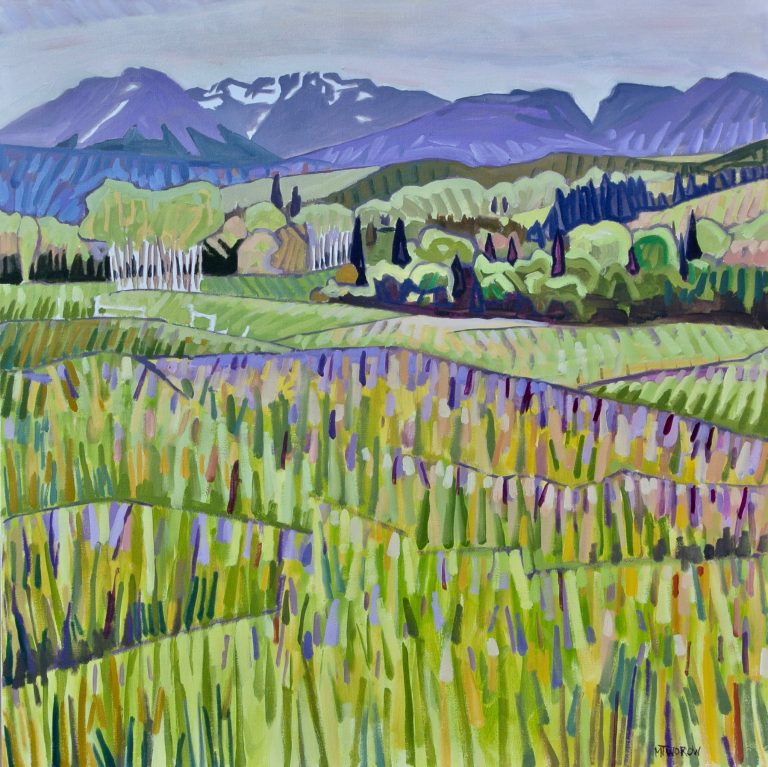 51447768 10157005044827162 6951414318151761920 n 768x767