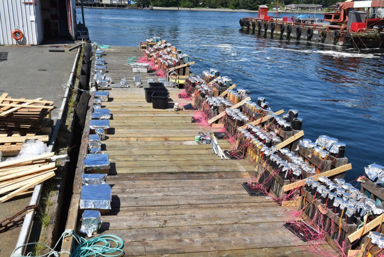 527790325 1103439138549937 4585538321800591422 n 768x513