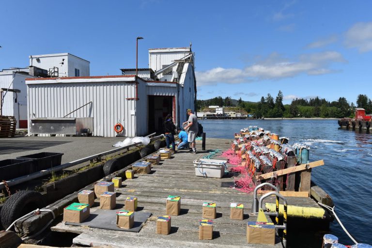 528686468 1103439125216605 3646520405127480061 n 768x513