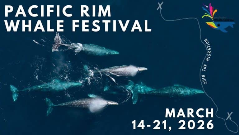 573296085 1255380963301197 8877419116372514570 n 768x433