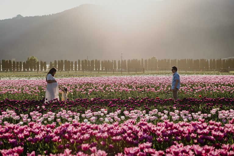 648306865 1461313058886058 5450780182056557947 n 768x512