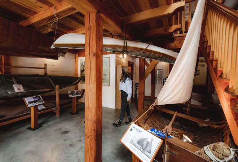 6X3A9963 scaled 1 768x523