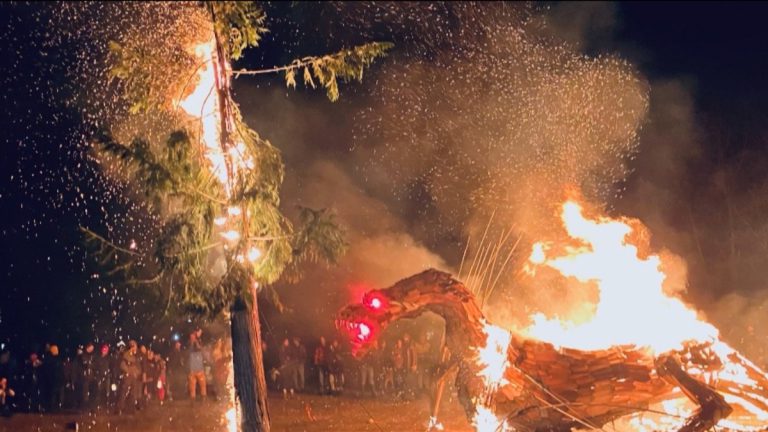 6c7ad09d 18a8 d708 955e ecc4e2bb8548 768x432