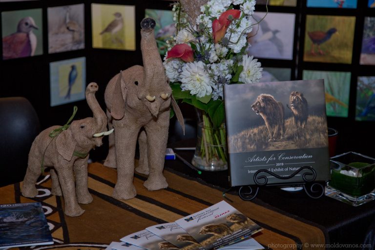 71302009 10156416693286722 871914447403220992 n 768x512