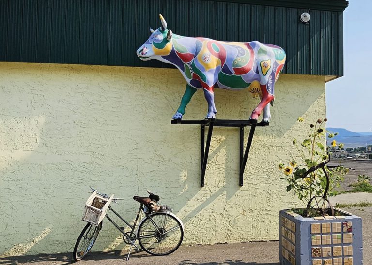 Ashcroft Mula The Happy Cow 768x548