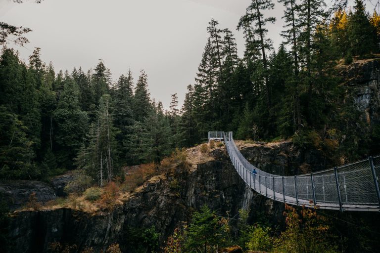 Campbell River elk river falls JordanDyck 768x512
