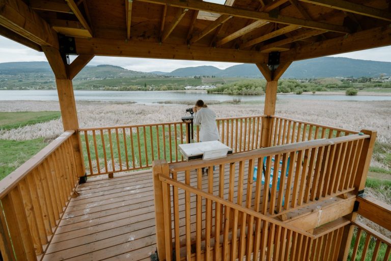 DSC2447 medium 768x512