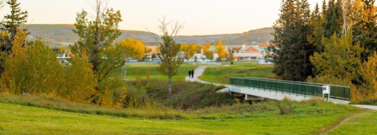 Dawson Creek social bg 768x276