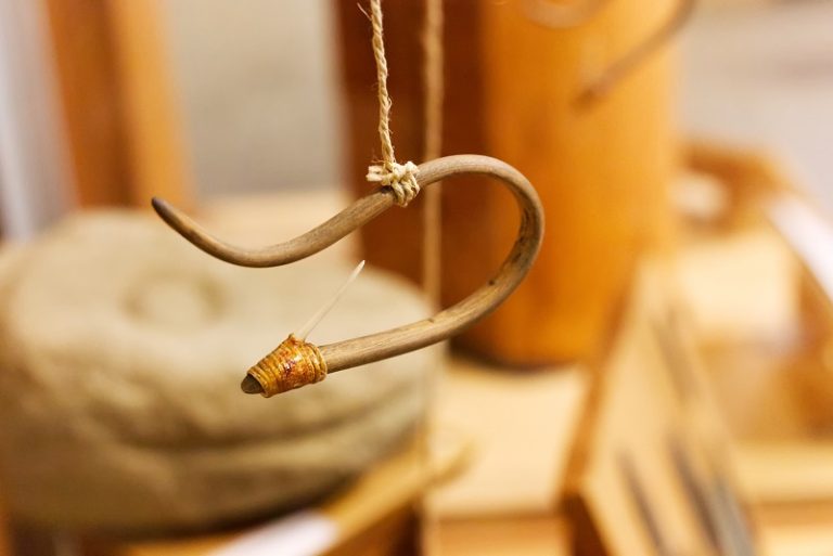 EDIT MG 3631 web 768x513