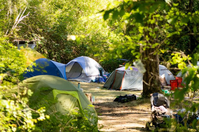 Folkfest BatchthreeBCAM 10 768x512