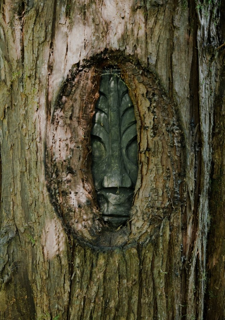 Jaiden George Living Tree Port Alberni BC Arrowvale Campground Jaiden George 768x1091