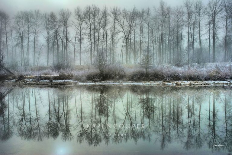 Karen Cooper DeBoville Reflection 768x514