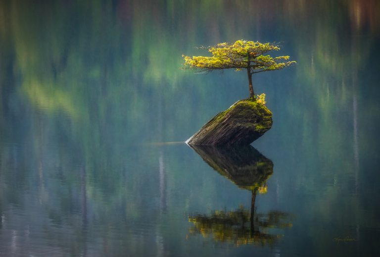 Karen Cooper Tenacity II 768x519