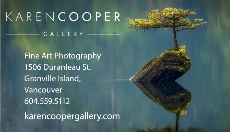 KarenCooperGallery 768x440