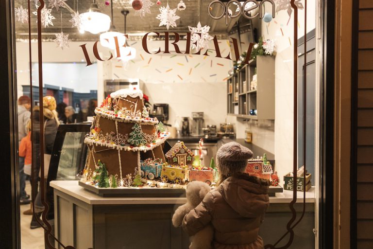 Ladysmith Festival of Lights 2 768x512