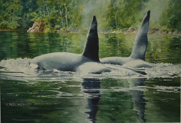 Maximchuk Orca Buddies PrintWC 768x520