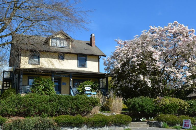 Mission Arts Council External Maurice Motut 768x512