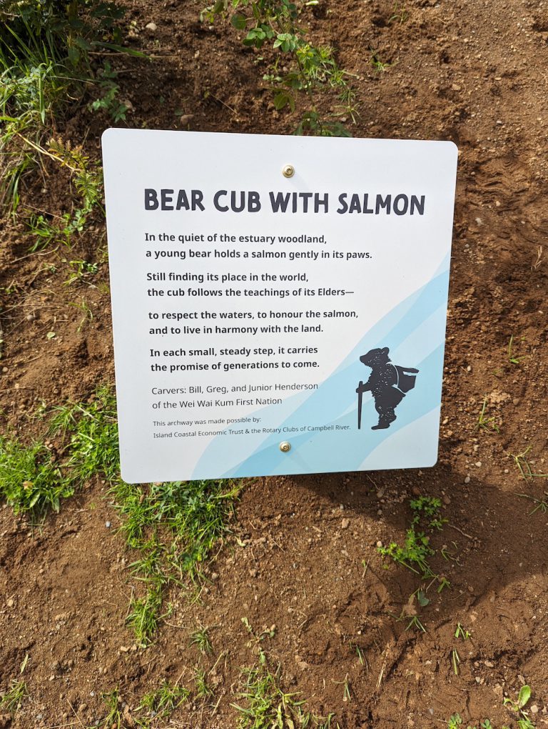 PXL 20250923 182536978 768x1020